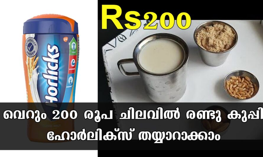 അധികം പണം ചിലവഴിക്കാതെ ഇനി ഹോർലിക്‌സ് വീട്ടിൽ തയ്യാറാക്കാം.