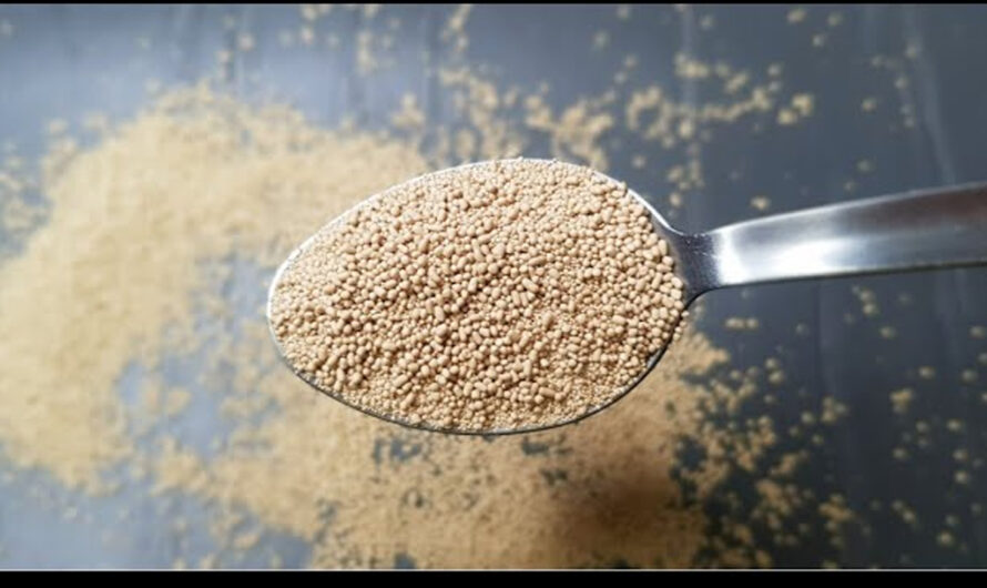 കടയിൽ നിന്നും വാങ്ങുന്ന ഈസ്റ്റ് നമുക്കിനി രണ്ട് മിനിറ്റ് കൊണ്ട് വീട്ടിൽ ഉണ്ടാക്കാം.