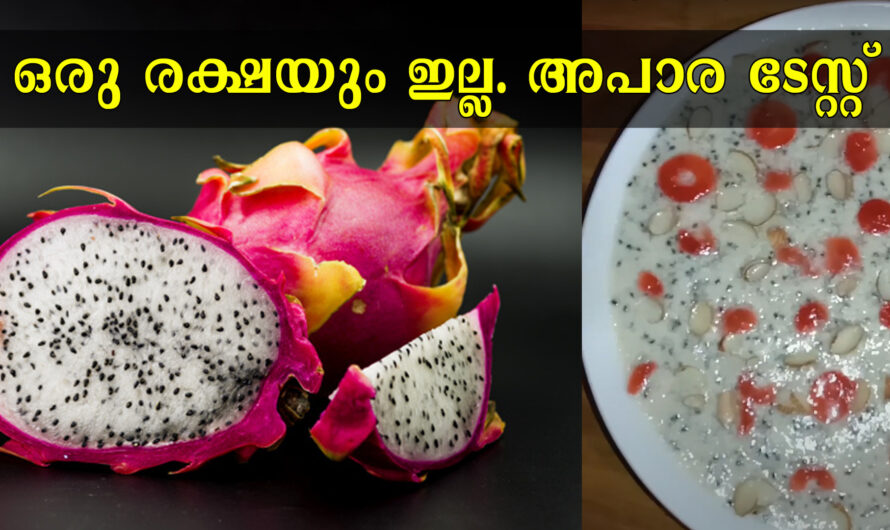 ഡ്രാഗൺ ഫ്രൂട്ടിൻറെ ഗുണങ്ങൾ അറിഞ്ഞാൽ ഇത് ആരും വിട്ട് കളയില്ല.