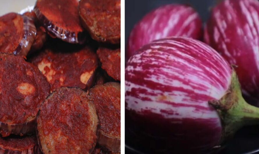 ഈ വഴുതനങ്ങ ഫ്രയുടെ ടേസ്റ്റ് ഒന്ന് അറിയേണ്ടത് തന്നെ.