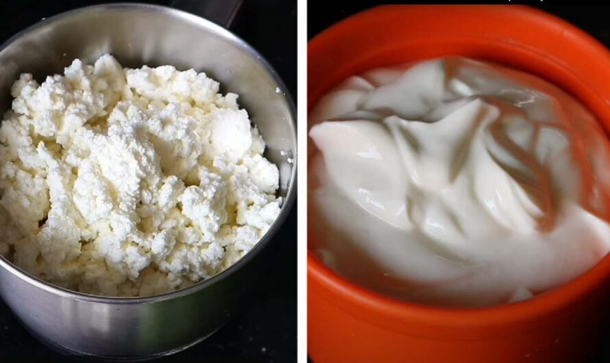 ക്രീം ചീസ് ഇനി വളരെ എളുപ്പത്തിൽ ഉണ്ടാക്കൂ