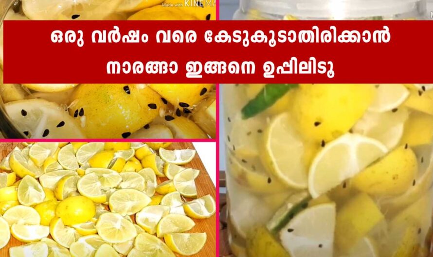 ഒരു വർഷം വരെ കേടുകൂടാതെ ഇരിക്കുന്ന ചെറുനാരങ്ങാ ഉപ്പിലിട്ടത്.