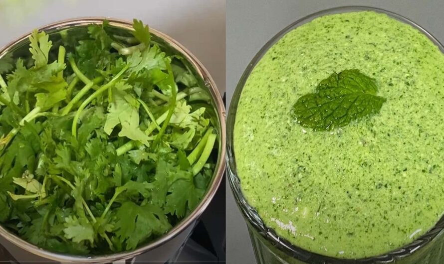 പുതിന ചട്ട്ണിയുടെ ടേസ്റ്റ് അറിയണമെങ്കിൽ ഈ രീതിയിൽ തയ്യാറാക്കൂ.