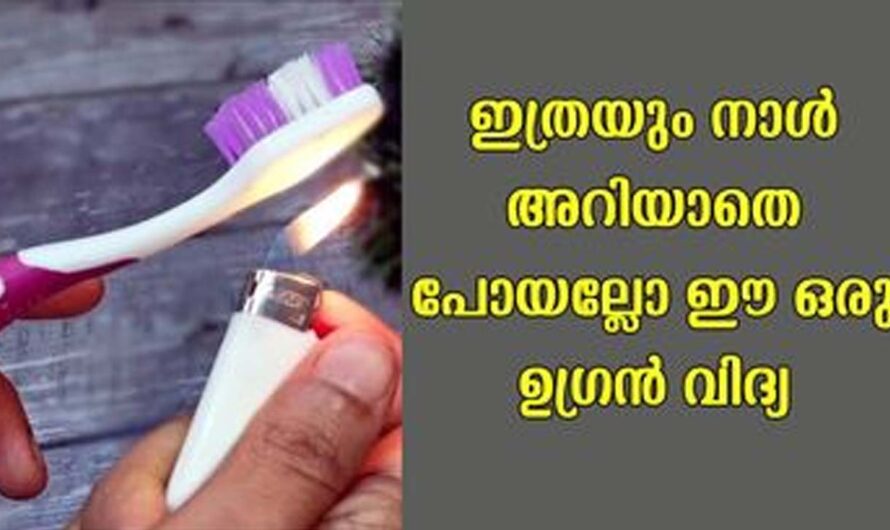 ടൂത് ബ്രഷ് കൊണ്ട് ഇത്രയും കാര്യങ്ങൾ ചെയ്യാമോ.