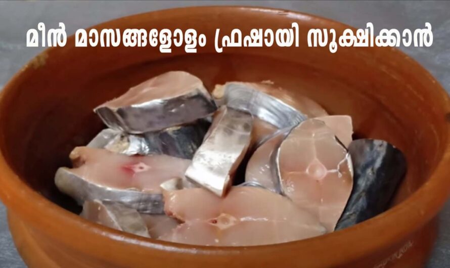 ഒരു മാസം വരെ ഫ്രിഡ്ജിൽ ഇരുന്നാലും മീനിന്റെ ഫ്രഷ്‌നസ്സ് ഈ രീതിയിൽ ചെയ്‌താൽ നഷ്ടമാകില്ല.