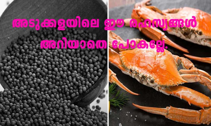 കിച്ചണിൽ അറിഞ്ഞിരിക്കേണ്ട പ്രധാന വസ്തുതകൾ.