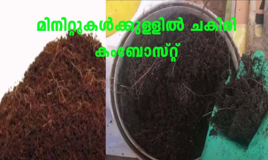ഇനി ആർക്കും ചകിരി കമ്പോസ്റ്റ് ഈസിയായി തയ്യാറാക്കാം.
