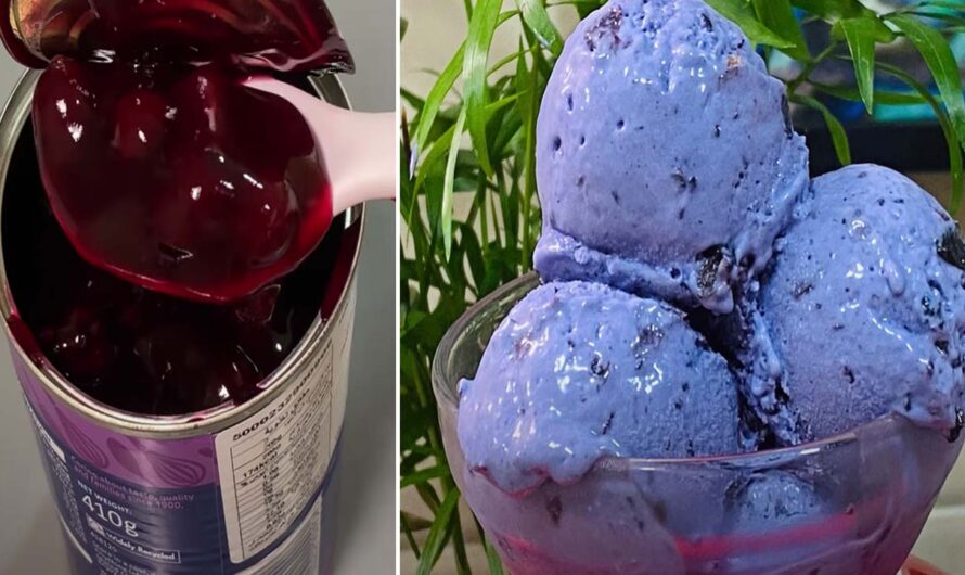 ബ്ലാക്ക് കാരന്റ്റ് ഐസ് ക്രീം കഴിച്ചിട്ടുണ്ടോ. എന്താ രുചി.