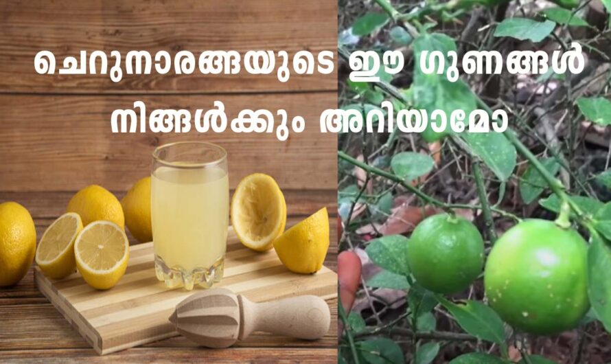 ചെറുനാരങ്ങാ കൊണ്ട് ഇങ്ങനേയും ഗുണങ്ങളോ.