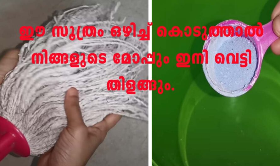 തറ തുടക്കുന്ന മോപ്പ് എങ്ങനെ വെട്ടിത്തിളക്ക മുള്ളതാക്കാം.