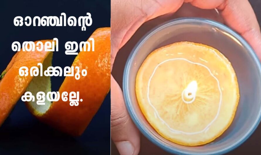 ഓറഞ്ചിന്റെ തൊലി കൊണ്ട് കിച്ചണിലെ ഒരു കിടിലൻ ഉപയോഗം.
