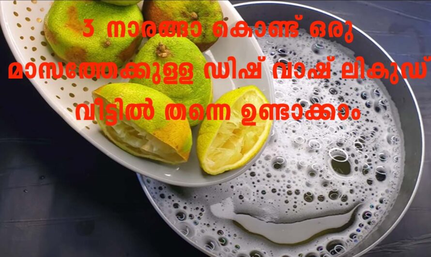 മൂന്ന് നാരങ്ങാ എടുക്കാനുണ്ടോ ? എങ്കിൽ ഡിഷ് വാഷ് ലികുഡ് സിമ്പിളായി വീട്ടിൽ ഉണ്ടാക്കാം.
