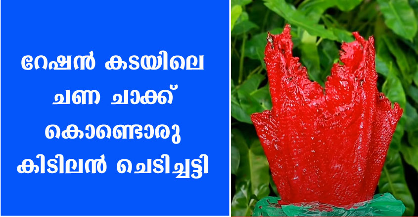 റേഷൻ കടയിലെ ചണ ചാക്ക് കൊണ്ടൊരു കിടിലൻ ചെടിച്ചട്ടി