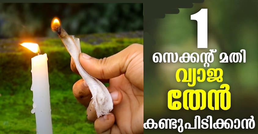 വ്യാജ തേൻ തിരിച്ചറിയാൻ കുറച്ചു എളുപ്പവഴികൾ. ഇനിയാരും പറ്റിക്കപ്പെടില്ല.
