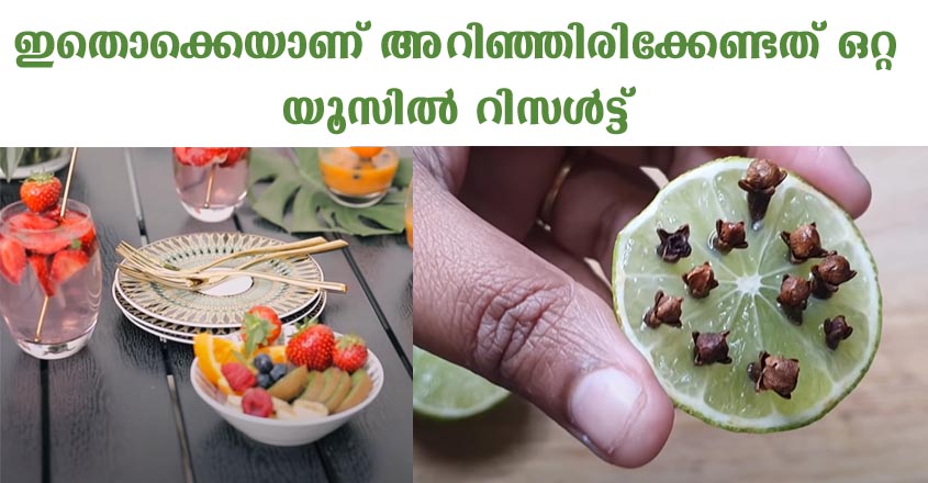 അടുക്കളയിലെ ഈ പ്രശ്നത്തിന് ഇനി എന്നന്നേക്കുമായി പരിഹാരം