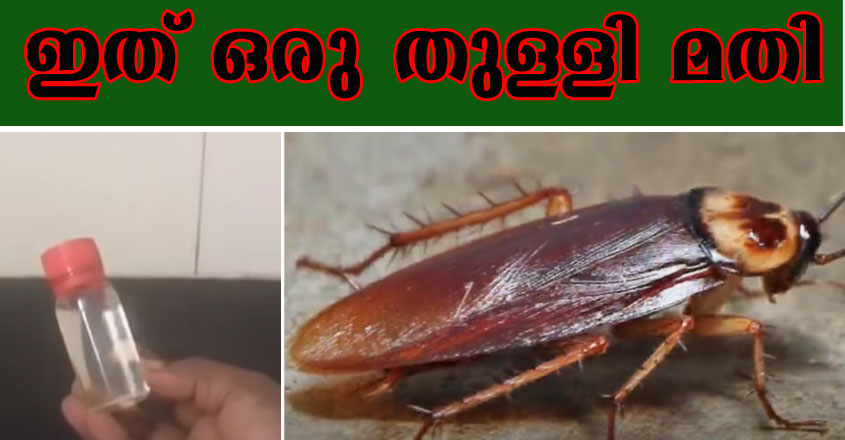 ഇതിൽ നിന്നും ഒരു തുള്ളി മതി പാറ്റകളും, പ്രാണികളും വീട് വിട്ട് ഓടിക്കോളും