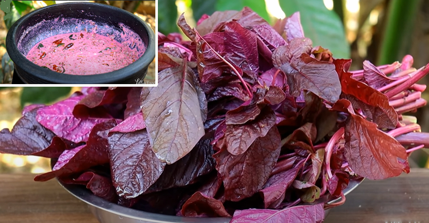 ചുവന്ന ചീര കൊണ്ട് ഇങ്ങനെ ഒരു ഐറ്റം ആരും പ്രതീക്ഷിച്ചിട്ടുണ്ടാകില്ല